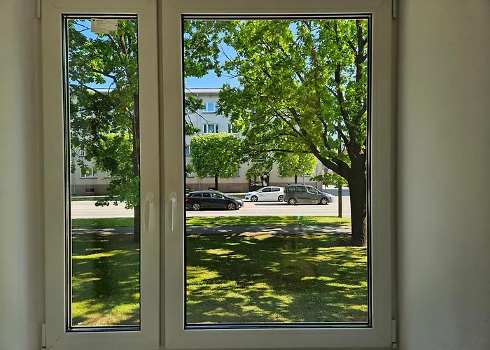 Bright Studio, Free Parking, Ltd Avail Appartamento *